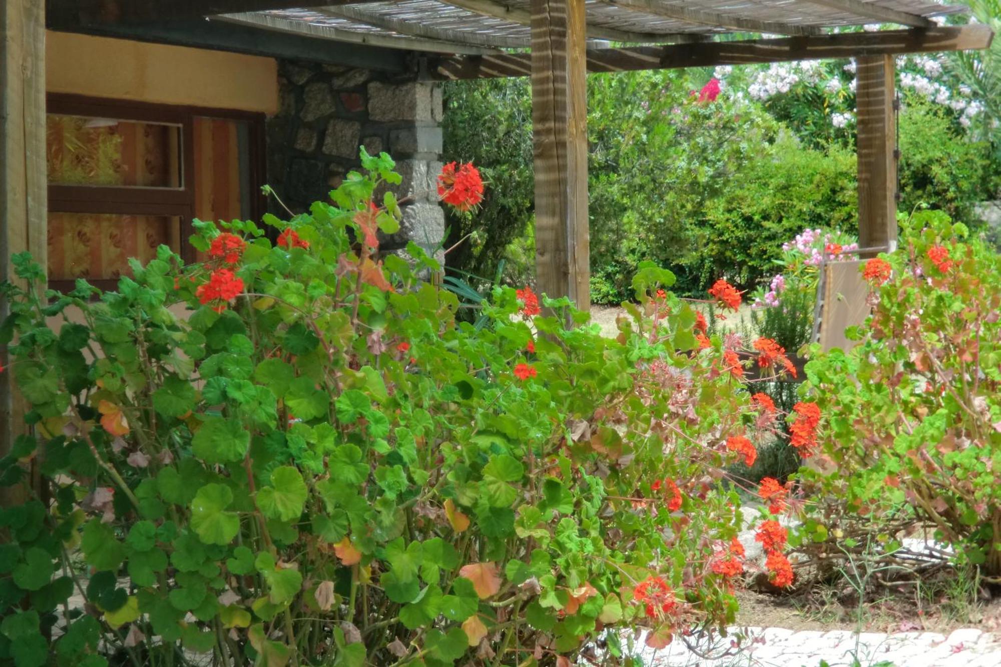 بورتو بولو Valinco Village المظهر الخارجي الصورة